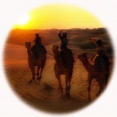 Camel Chase – Full