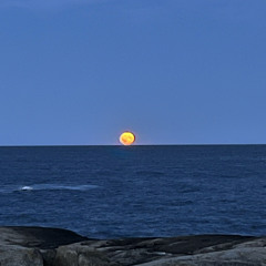 Alte Fleischerei Set 2