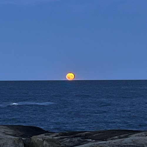 Alte Fleischerei Set 2