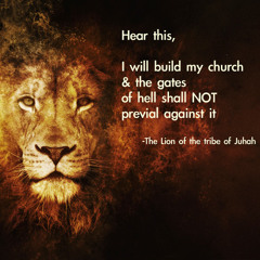 TrIbE oF jUdAh