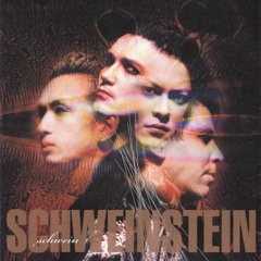 You're My Disease - SCHWEIN