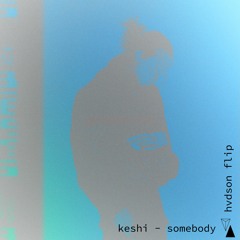 keshi - somebody (hvdson flip)