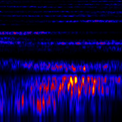 ultrasound recording 7m013m18 probably non human musical like communication
