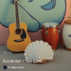 salt-echo 2.