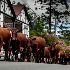 2022 Football Writers Festival