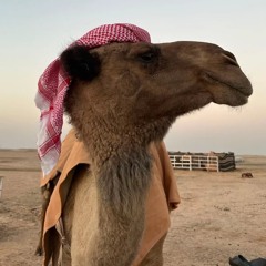 ياهل البكار الغوالي حمد الطويل فرديات ابن علي (mp3).mp3