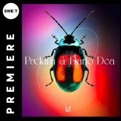 PREMIERE : Packim & Dario Dea - Your Mind (Original Mix) [Multinotes]