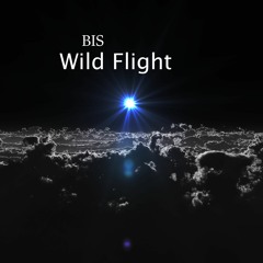 BIS - Wild Flight (Original Mix)