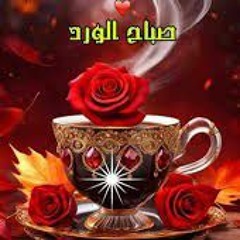 أيام ما يعلم بيها الا الفوق - يوسف العشماوي- شكلى بموت على البطئ - ترند التيك توك- مهرجانات 2024.mp3