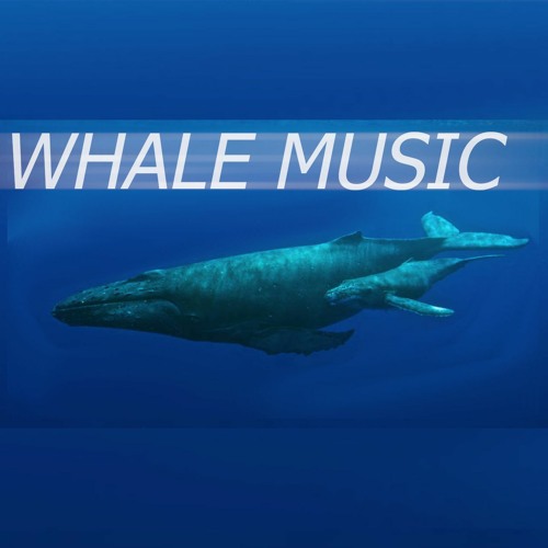 whale music