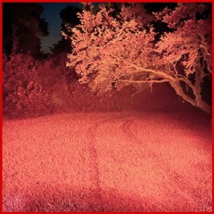 orange sky filled vibe! [stracct] [147bpm Dbmajor] [soundcloud exclusive]