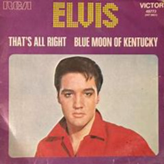Blue Moon Of Kentucky Live