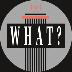 What you doin'? (MFDP Remix) [feat. Eric D. Clark]
