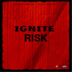 Risk (Radio Edit)