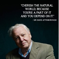 8th May 1926 🇬🇧⚛️🧠🌳🌊🐾💐🔗