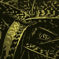 R369improv & Walking Ears - Rt080220g2_20321