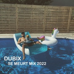 Dubix - Se Meurt Mix 2022