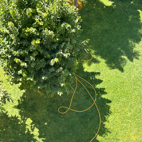 Conversations On Stairs