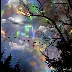 In The Rain Ft. YDD Hūsh (Prod. Mitcal)