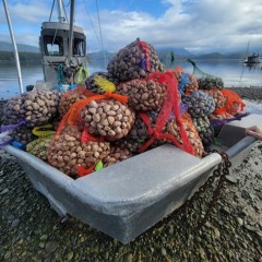 Paul Muskee on Klahoose Aquaculture & QXMC