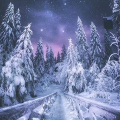 Voyage Nocturne