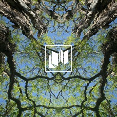Ackroyd 'Bubbling' [Common Ground Recordings]