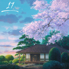 Hak Tape 17