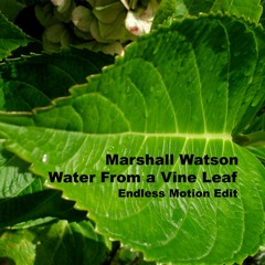 Water From a Vine Leaf_Marshall Watson Endless Motion Edit