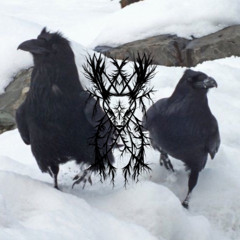 RAVENS TO CROWS (NYRAXX X SKINNYDRAG)