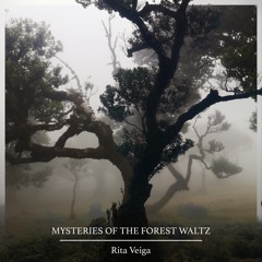 Mysteries Of The Forest Waltz