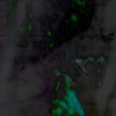 and the deficiency will not be taken from its root