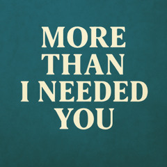 More Than I Needed You