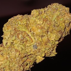 Rich As F*** [remix/cover] - Christian Matthew Holder