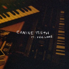 canine teeth (ft. fog lake)