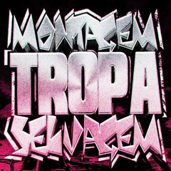 MONTAGEM TROPA SELVAGEM - STXNIX, DJ DYLANFK, HX12