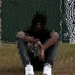 Steer (prod.134melman shingan chase)