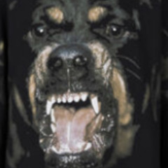 Big Bark Big Bite (B.B.B.B)