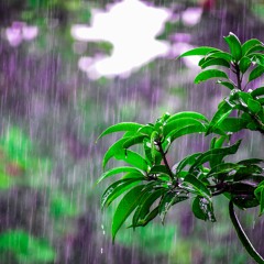 In The Rain (feat. Fr. Harris)