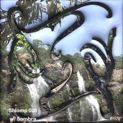 Shlomp 021 w/ Sombra