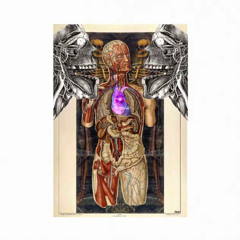 "Líos" (feat. Soul Afro)