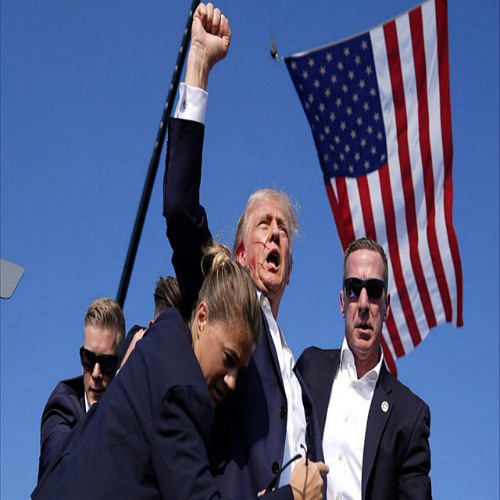 TRUMP (prod. svyazz, nap)