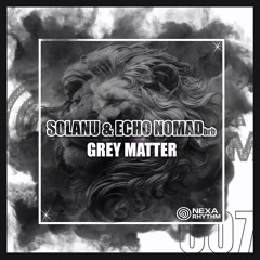 Solanu and Echo Nomad[brb] - Grey Matter (Original Mix)