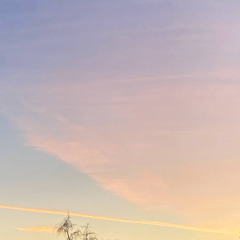 14.03.25 16:48