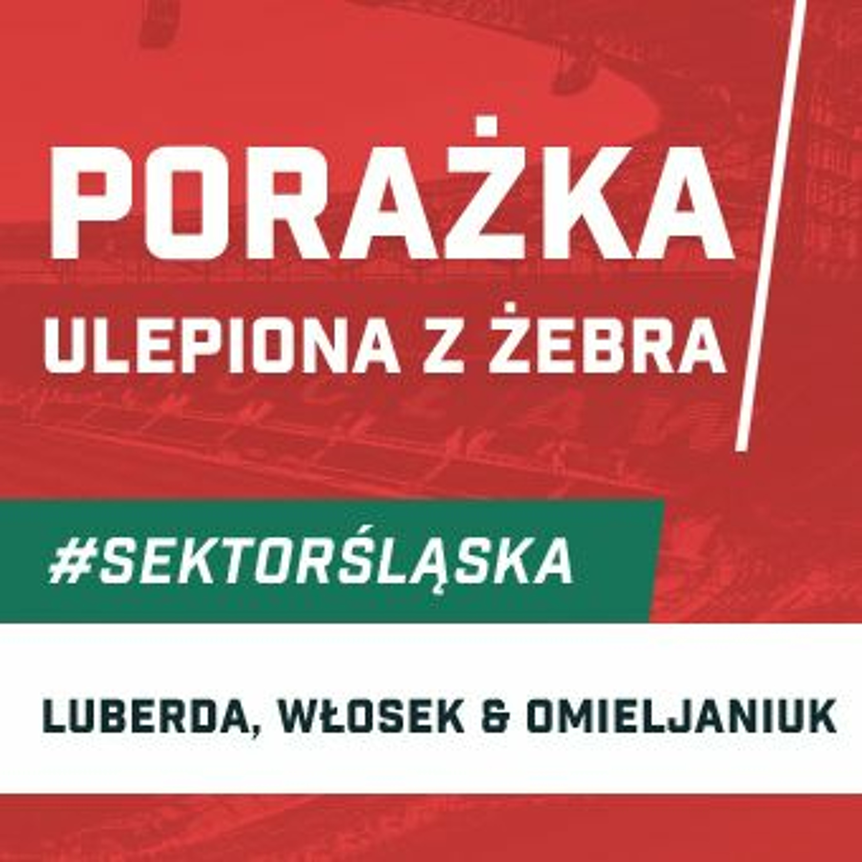 Śląsknet