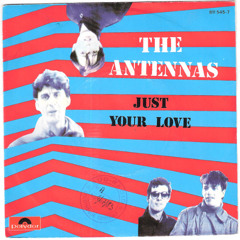 The Antennas - Just Your Love