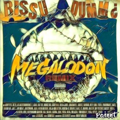 BONEZ MC  X  DR.DRE - WHATS THE DIFFERENCE BETWEEN BISSU DUMM¿ (EVERYDAVE MASHUP)