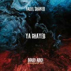 Fadel Shaker - Ya Ghayeb (BOUDI ARIDI AFROHOUSE MIX)