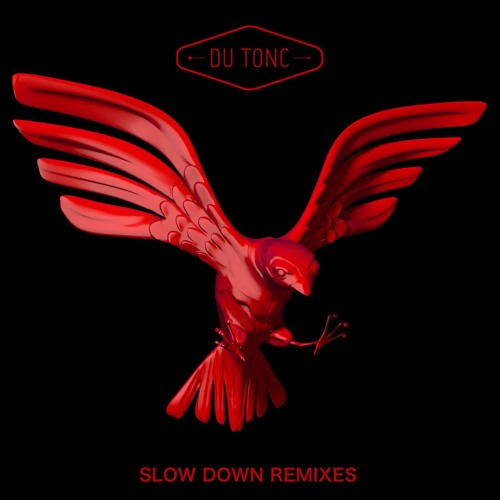 Slow Down (Matt Van Schie Remix)