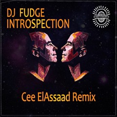 PREMIERE: DJ Fudge - Introspection (Cee ElAssaad Introspective Remix) [Afroterraneo Music]