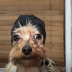 Florida Baby (Karo Mix 10.28.23).wav